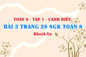 Bài 3 trang 28 SGK Toán 8 tập 1 Cánh Diều